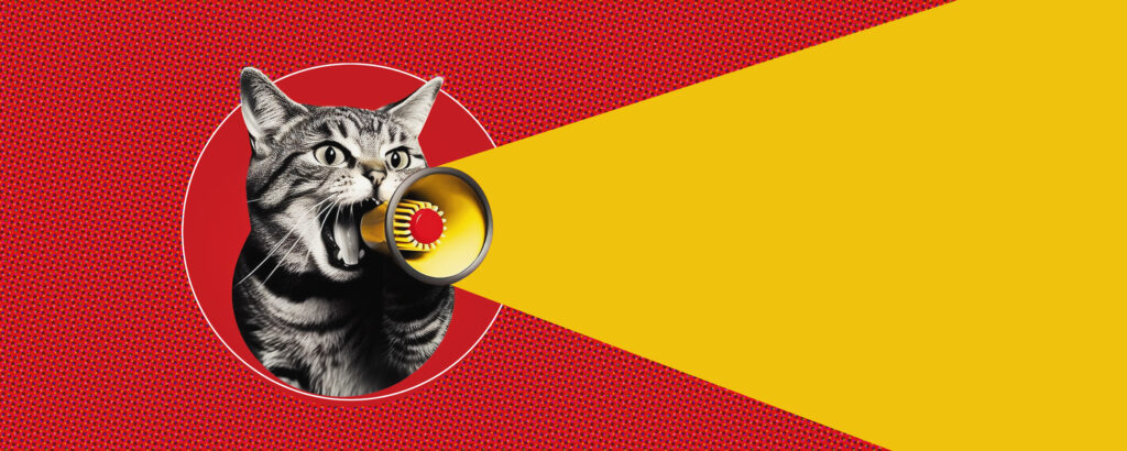Colorful image featuring a cat with a megaphone, reflecting the lively journey of overcoming speech challenges with dentures."